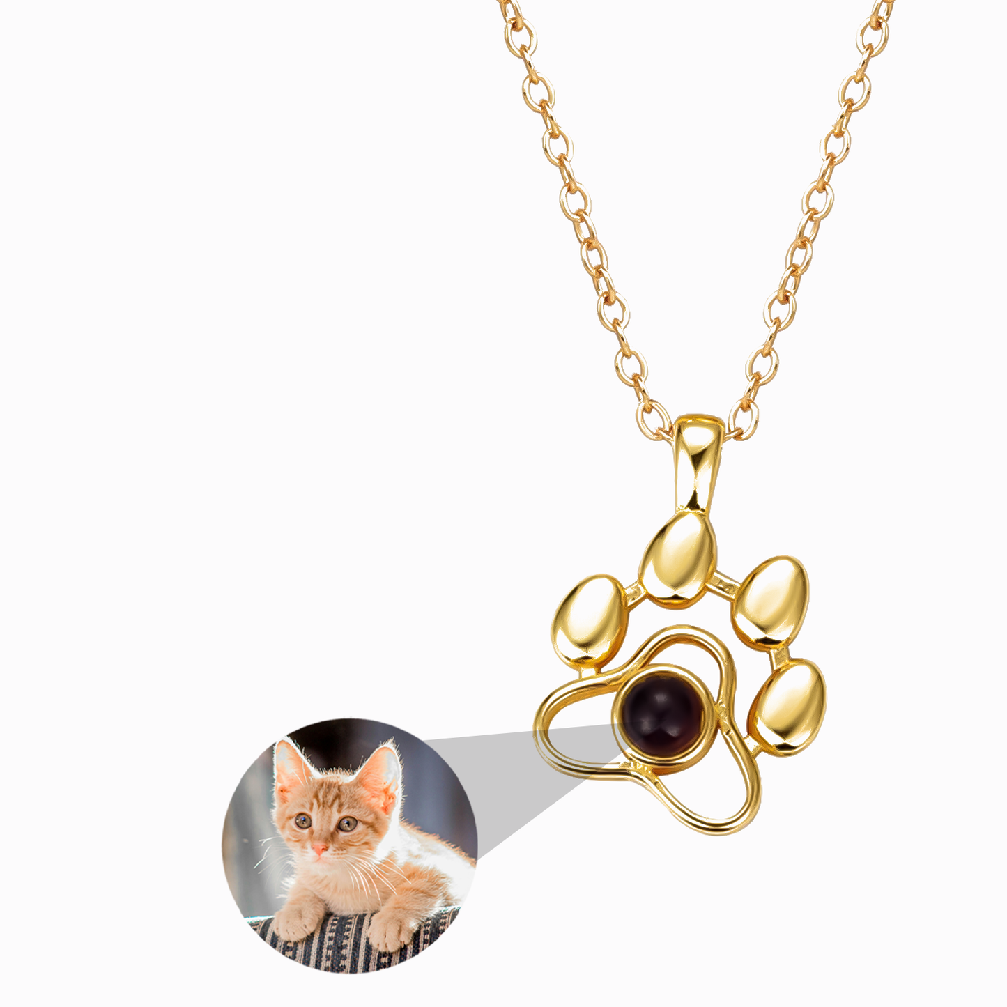 Collier Toutou avec Photo Personnalisée